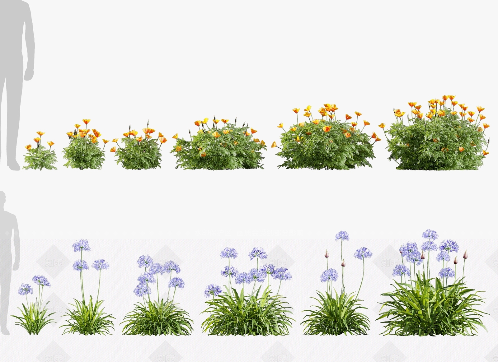 现代花草组合3D模型下载【ID:1112939535】