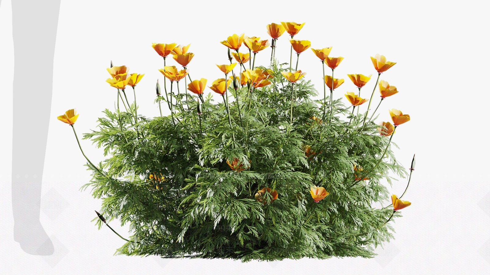 现代花草组合3D模型下载【ID:1112939535】