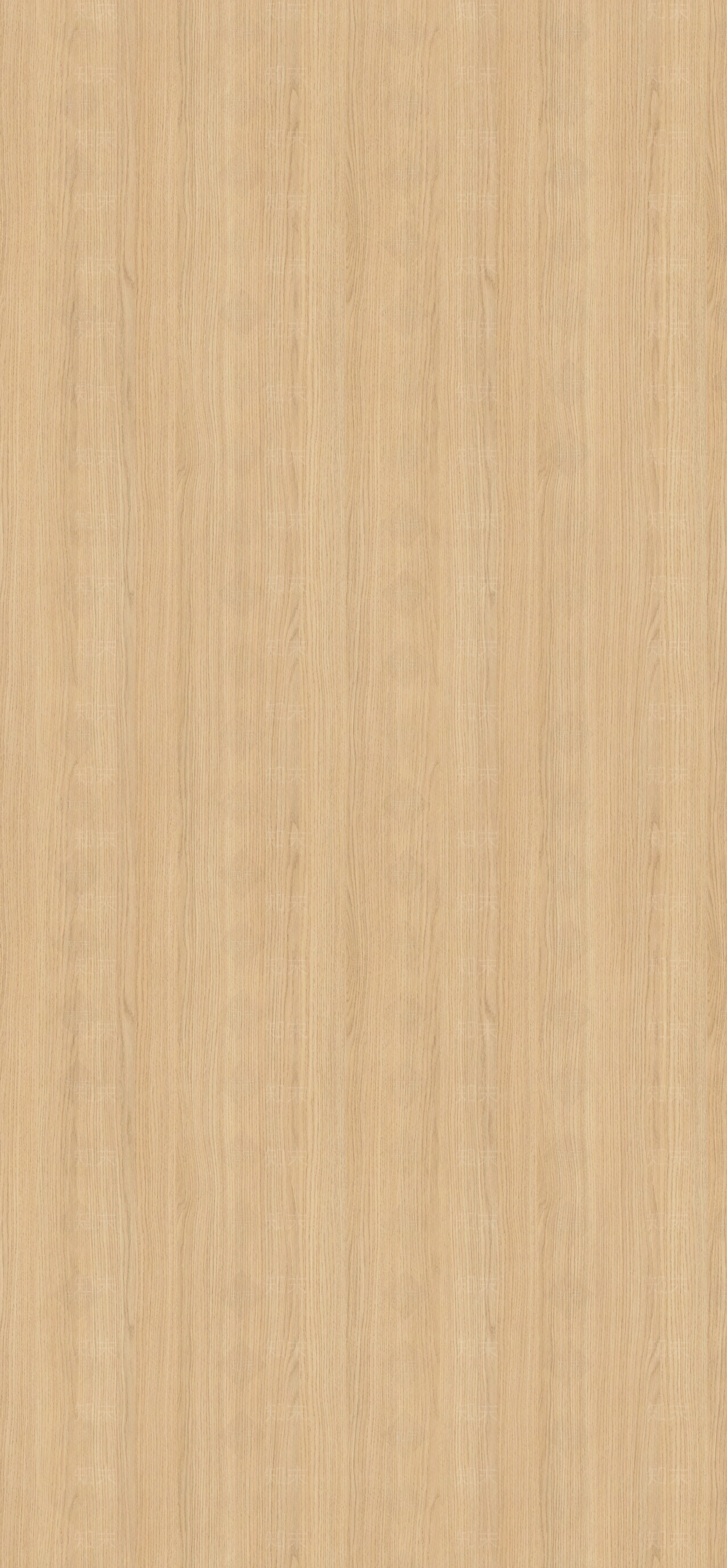 水洗黄杨木木纹贴图下载【ID:1112969417】