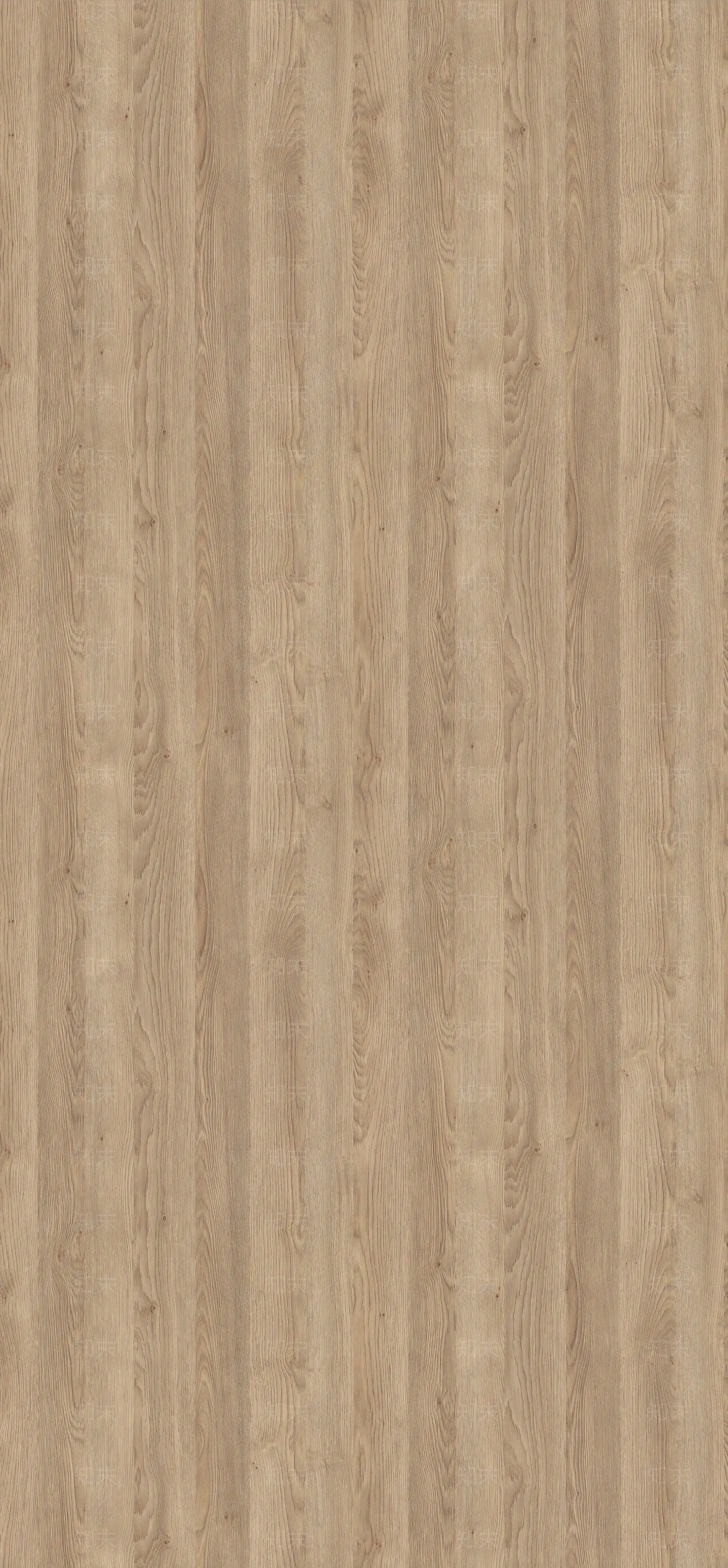 白橡木山纹原木木纹贴图下载【ID:1112968832】