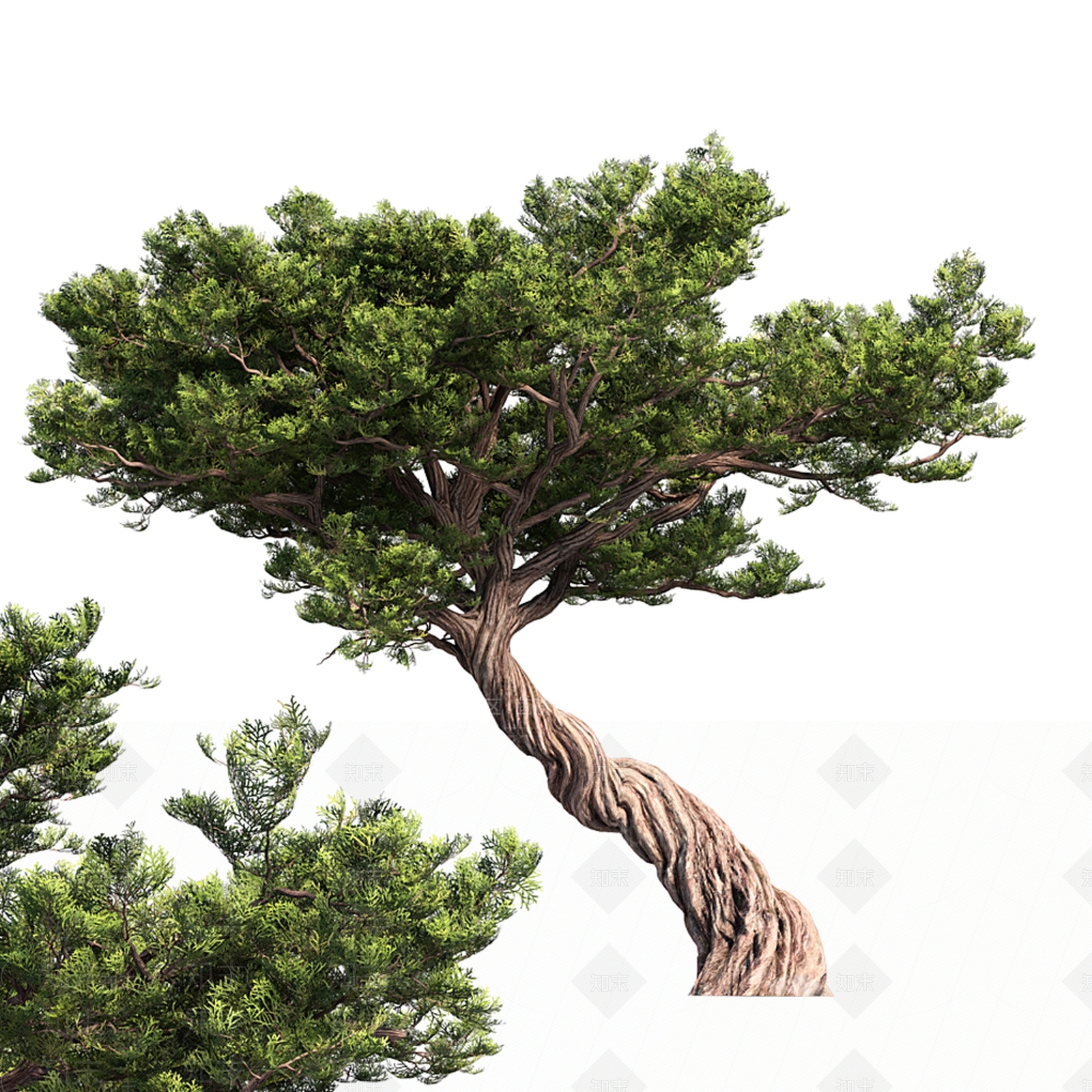 现代松树3D模型下载【ID:1112984128】