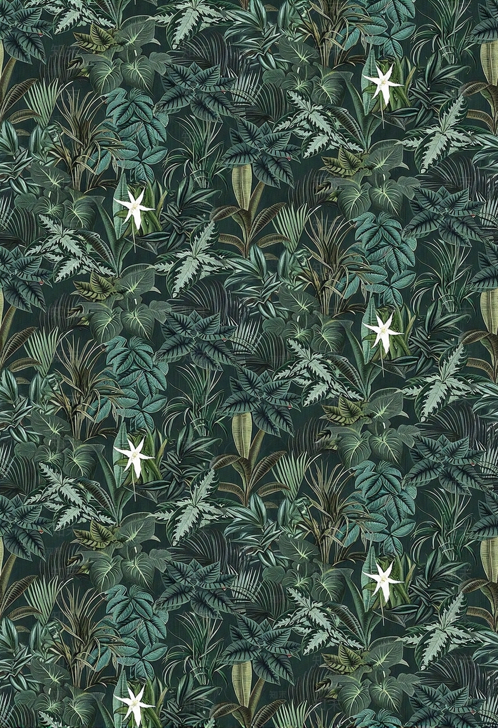 绿色热带雨林植物印花壁纸贴图下载【ID:1195358783】