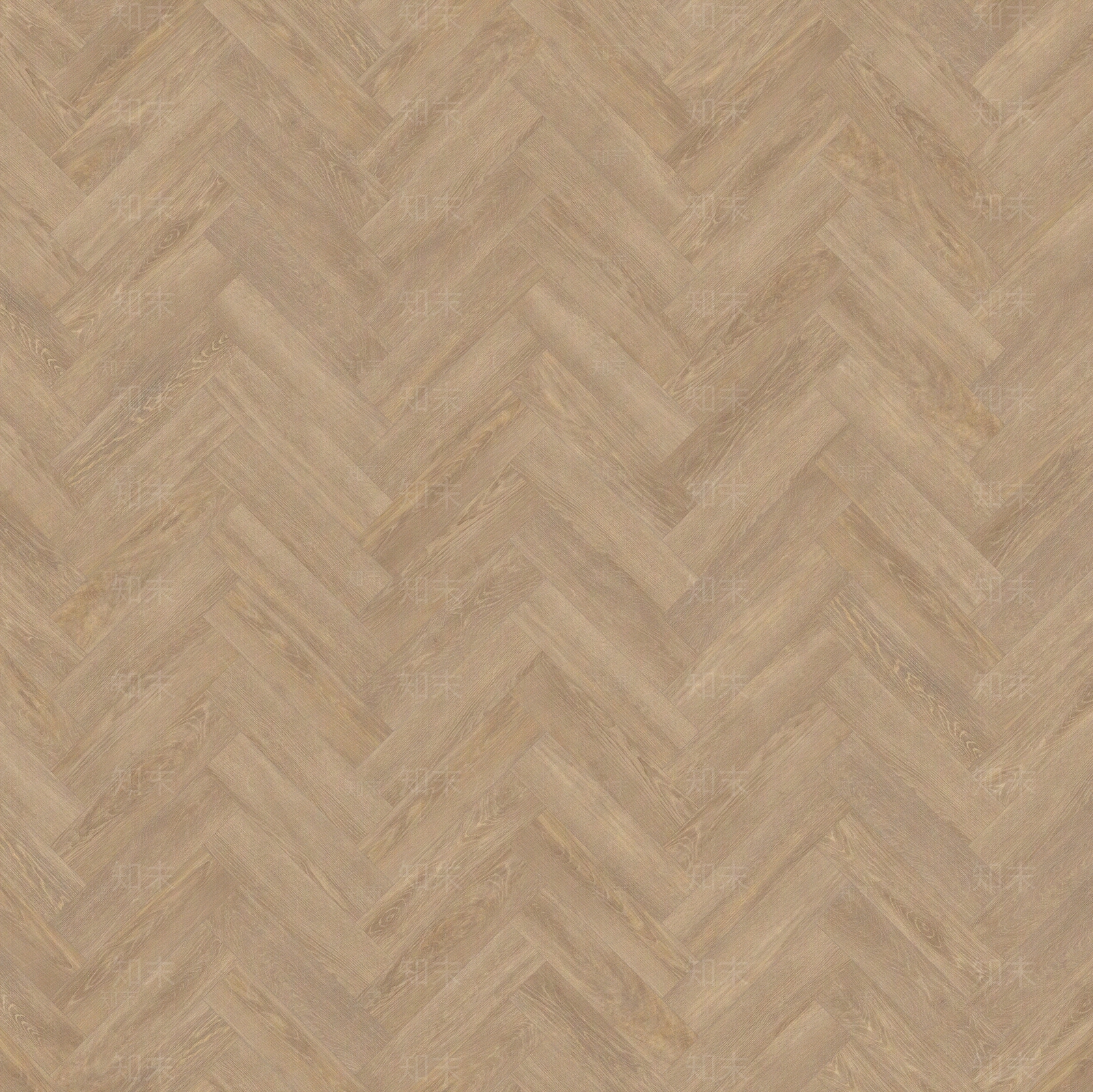 浅黄色实木人字铺木地板贴图下载【ID:1113024806】