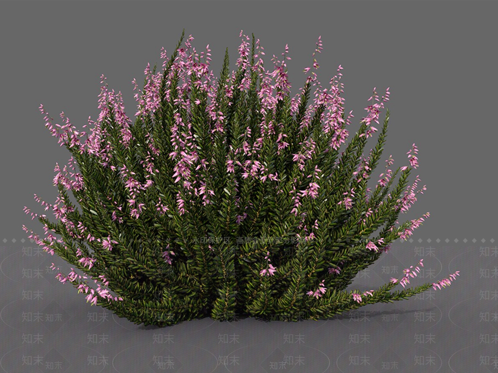 现代花草组合3D模型下载【ID:1113083362】