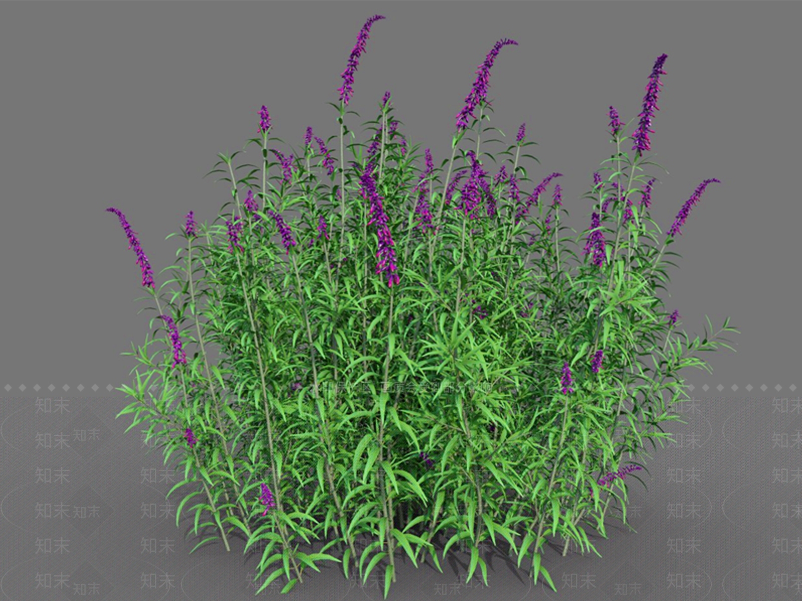 现代花草组合3D模型下载【ID:1113083362】