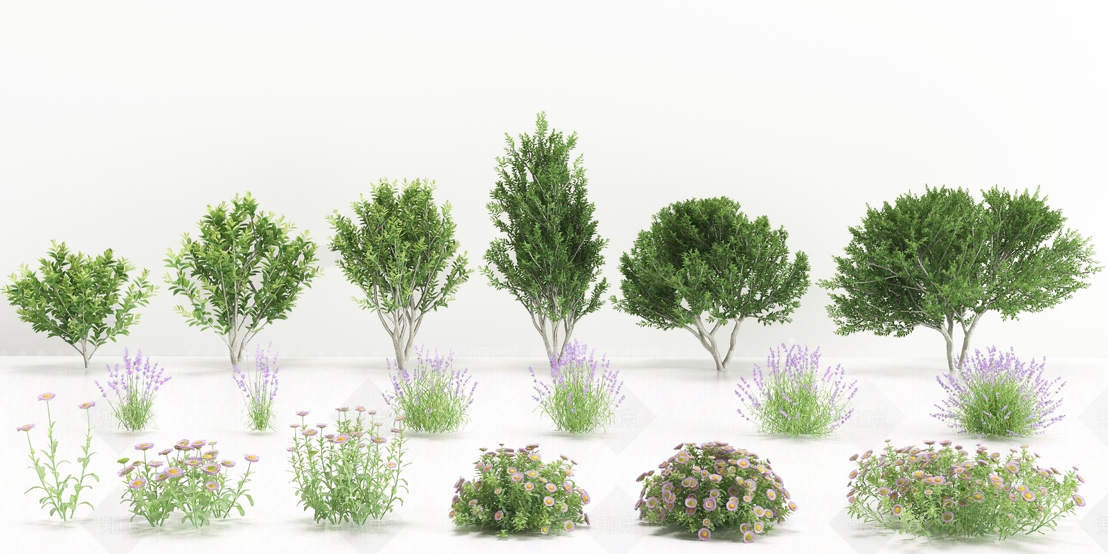 现代薰衣草3D模型下载【ID:1113125781】