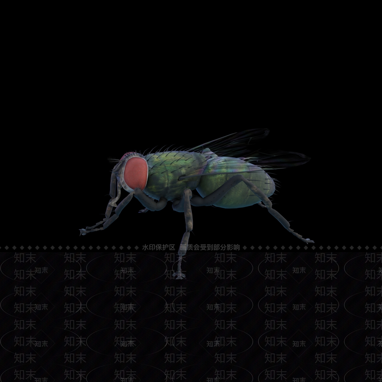 其他飞行类动物SU模型下载【ID:1113251409】