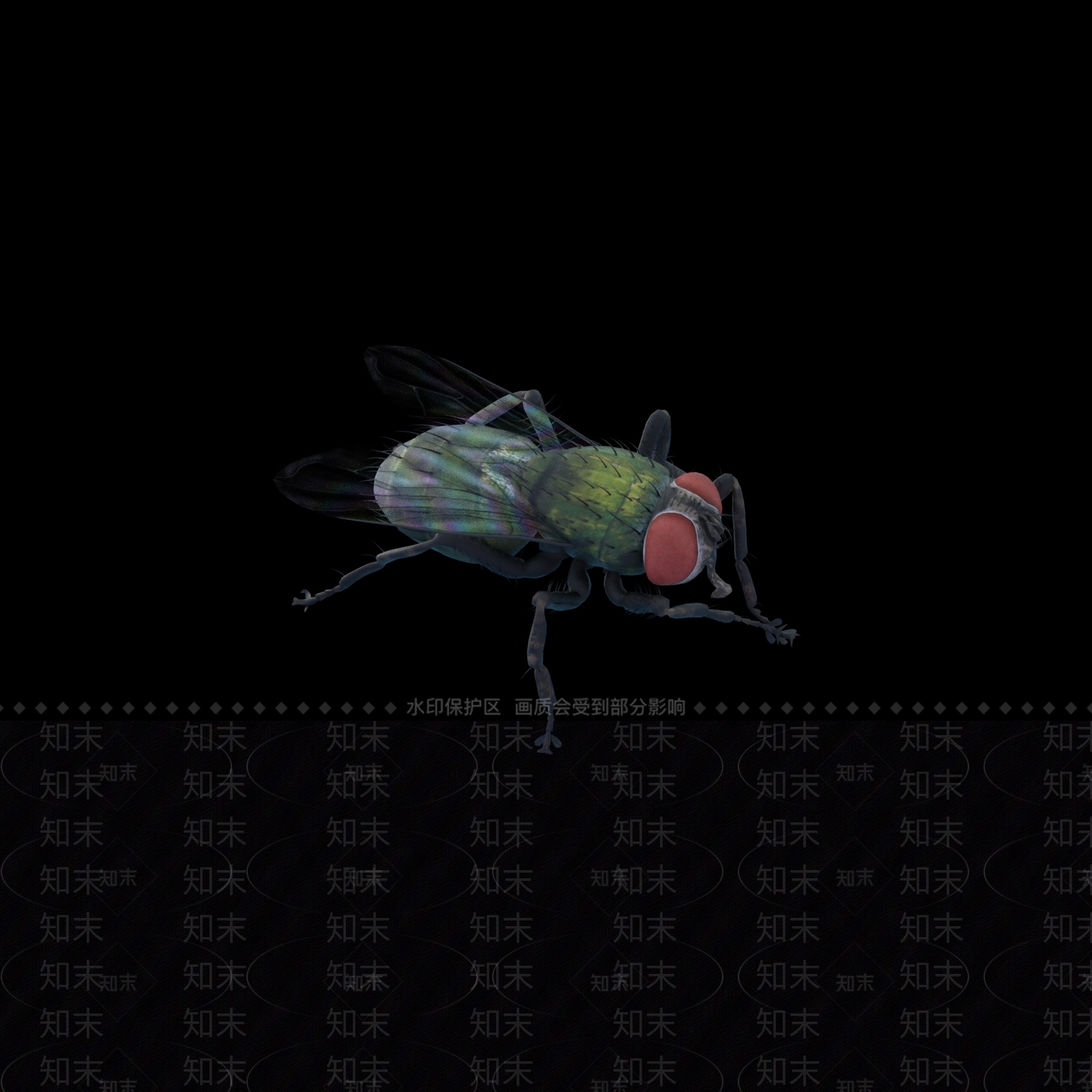 其他飞行类动物SU模型下载【ID:1113251409】