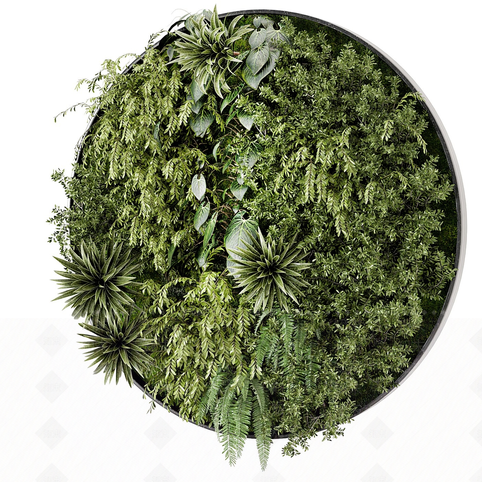 现代绿植墙3D模型下载【ID:1113412321】