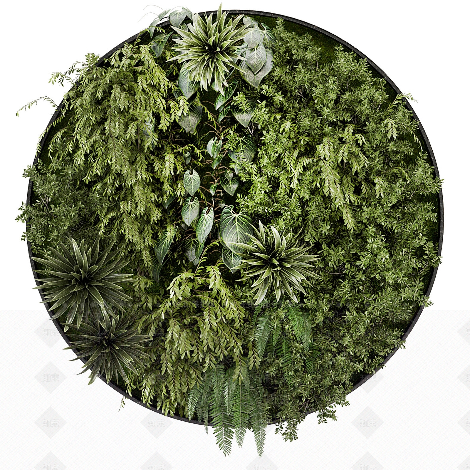 现代绿植墙3D模型下载【ID:1113412321】