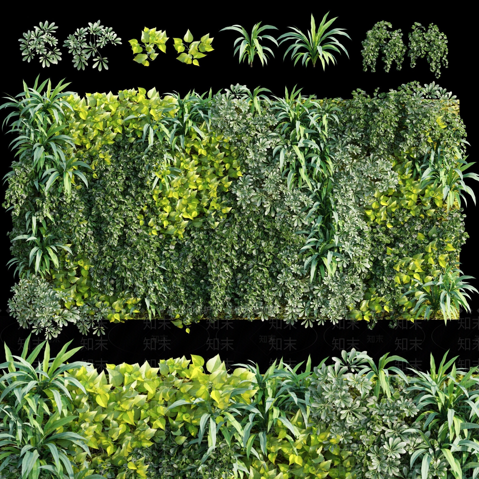 现代绿植墙3D模型下载【ID:1113465746】