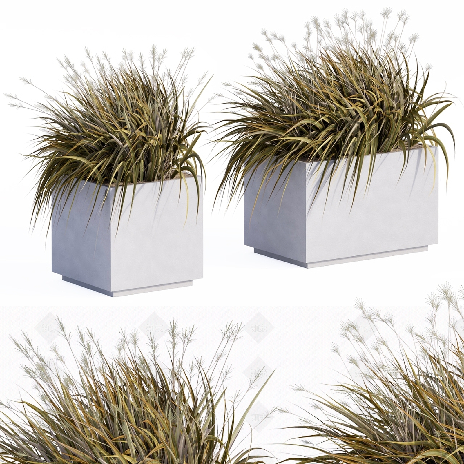 现代花坛3D模型下载【ID:1113567708】