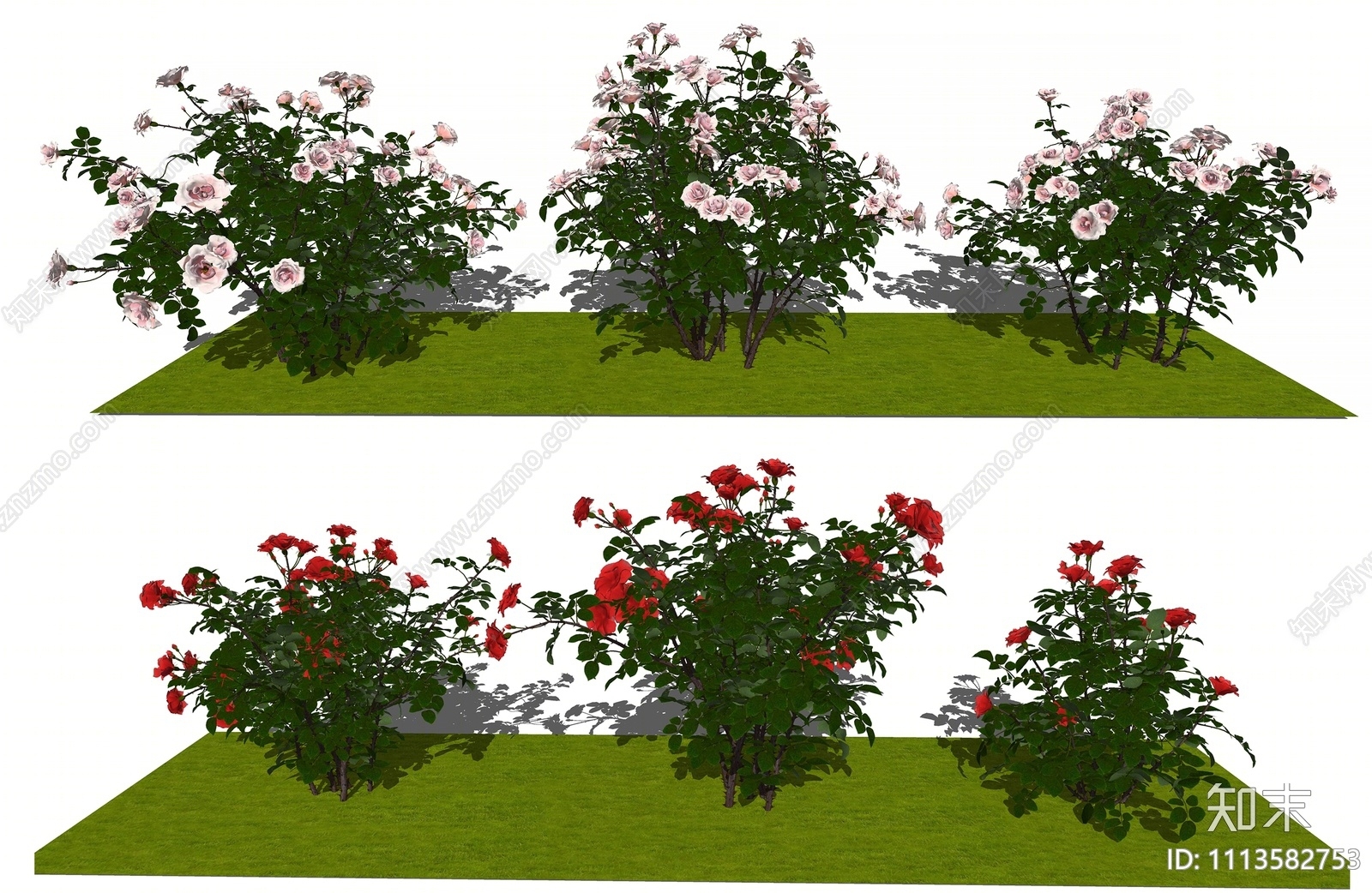 现代灌木SU模型下载【ID:1113582753】