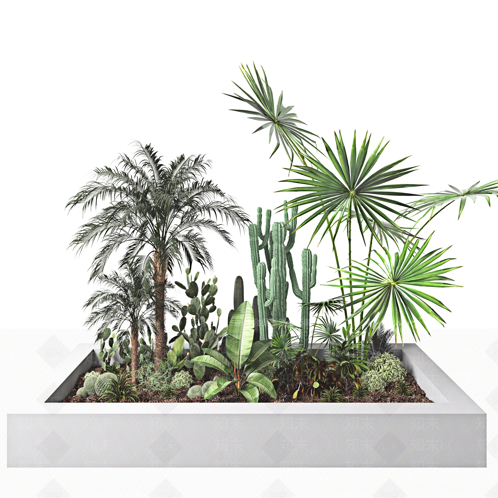 现代植物堆3D模型下载【ID:1113590368】