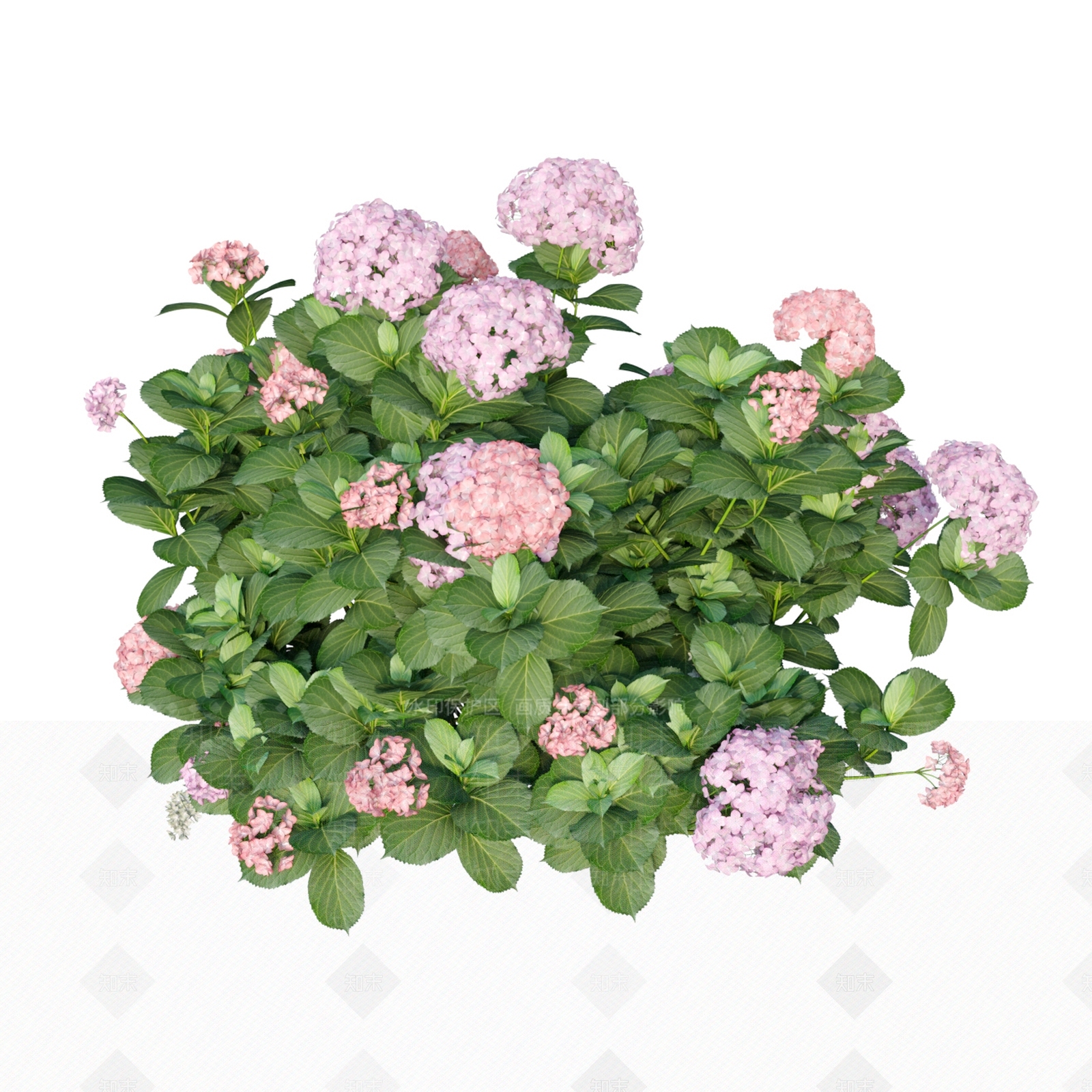 现代花草组合3D模型下载【ID:1113617963】