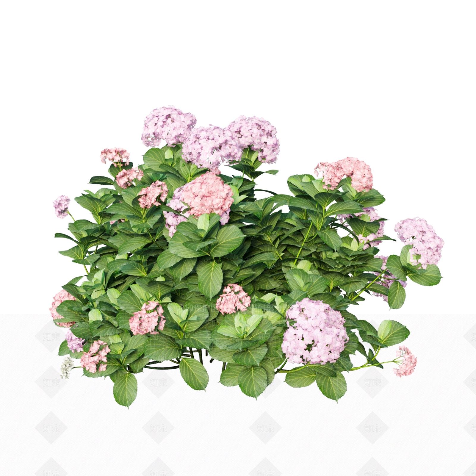 现代花草组合3D模型下载【ID:1113617963】