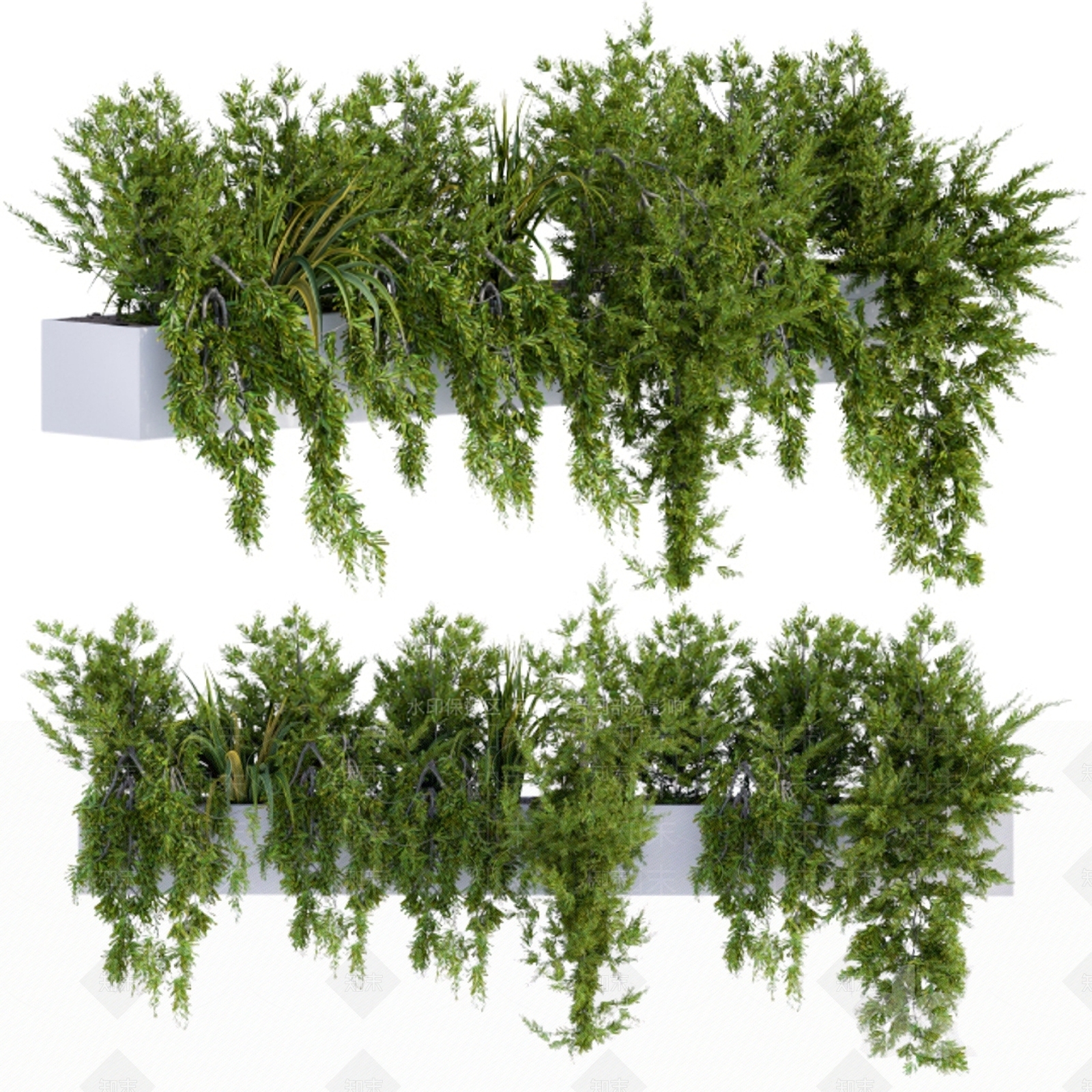 现代花坛3D模型下载【ID:1113617171】
