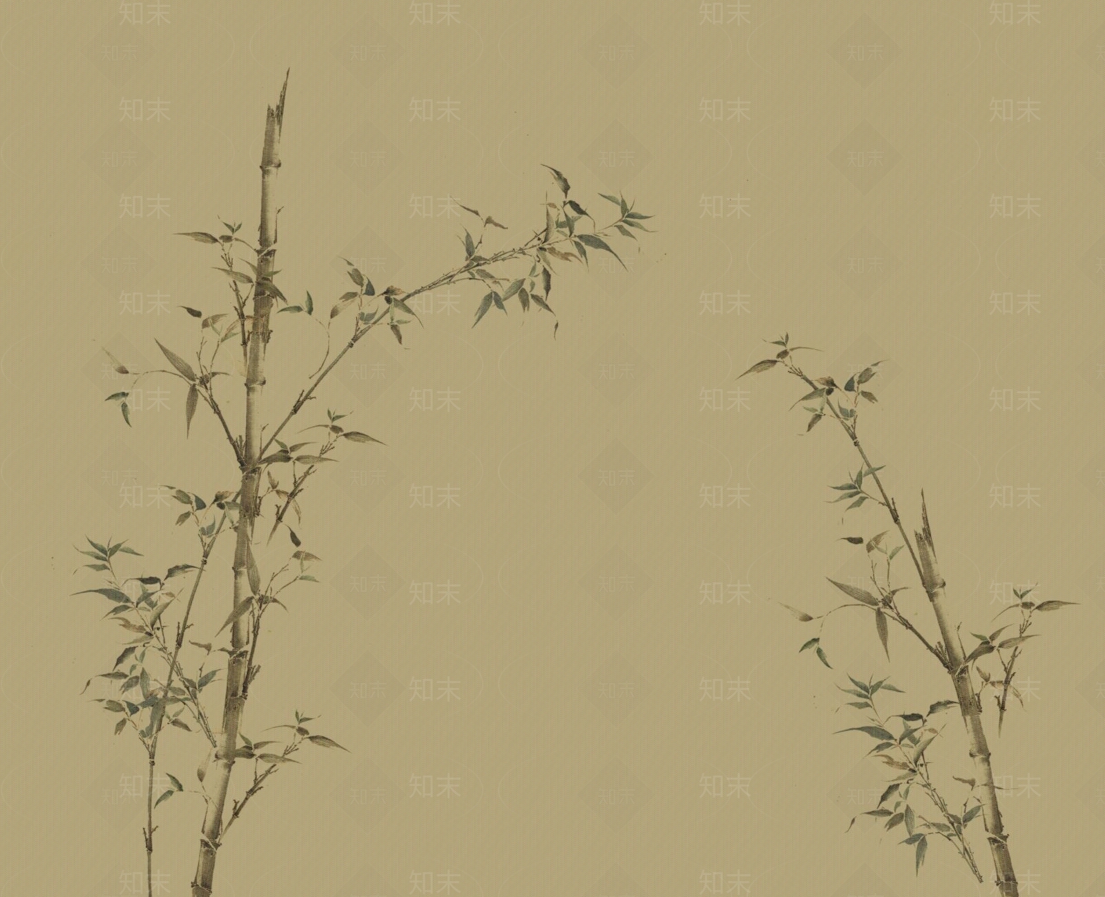 物志艺术新中式国风竹子壁纸壁画贴图下载【ID:1113667895】