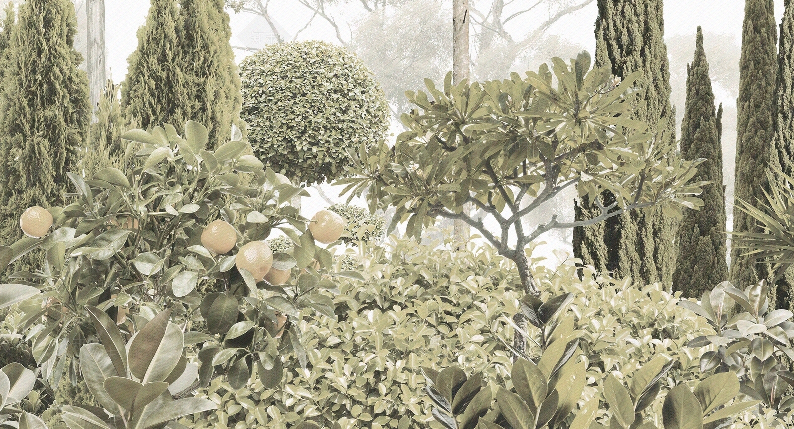 森林植物壁画贴图下载【ID:1113797707】