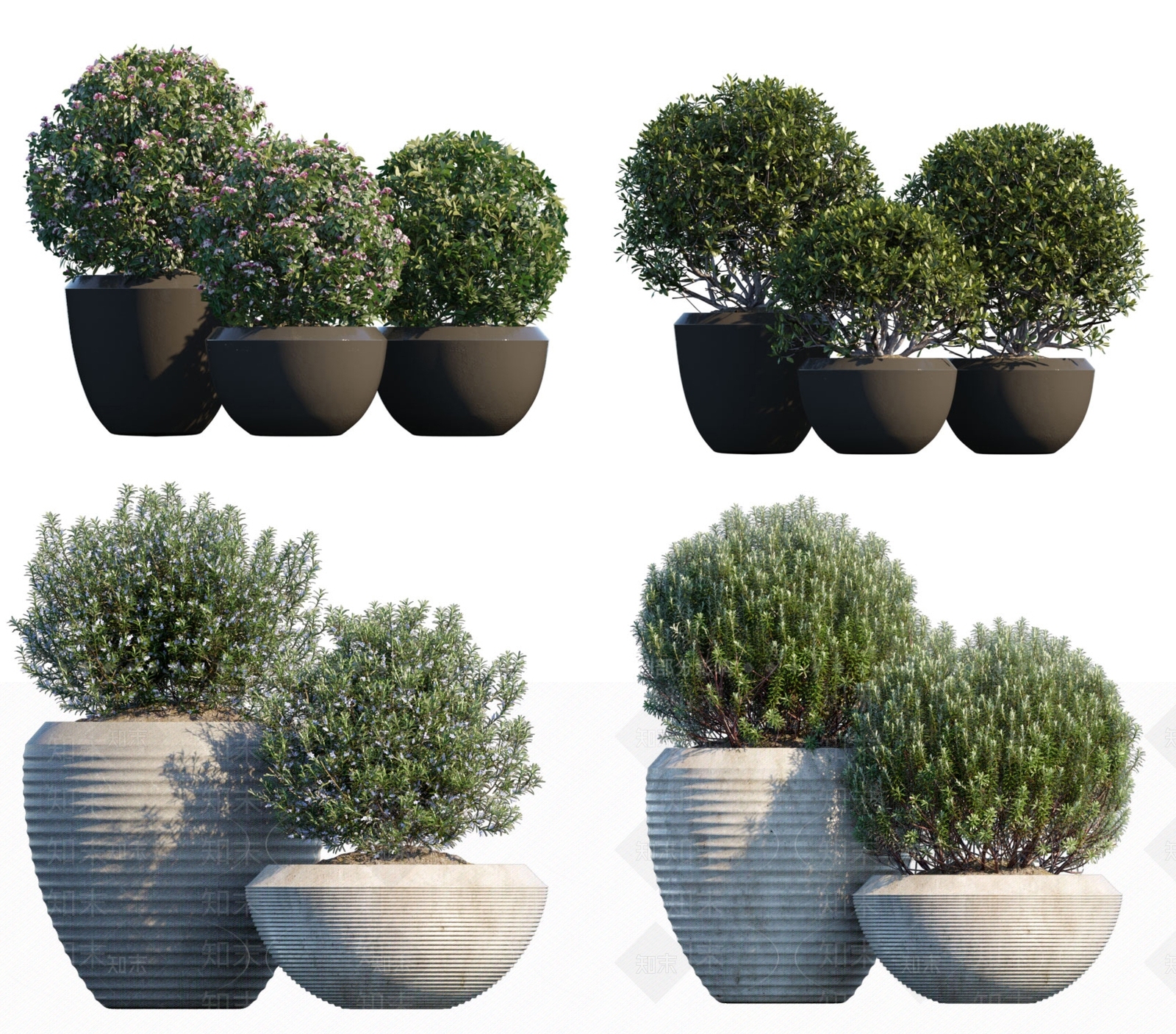 现代植物球盆栽SU模型下载【ID:1113896249】