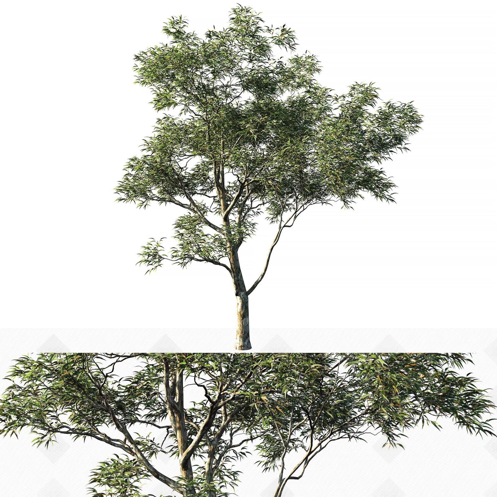现代乔木3D模型下载【ID:1114098278】