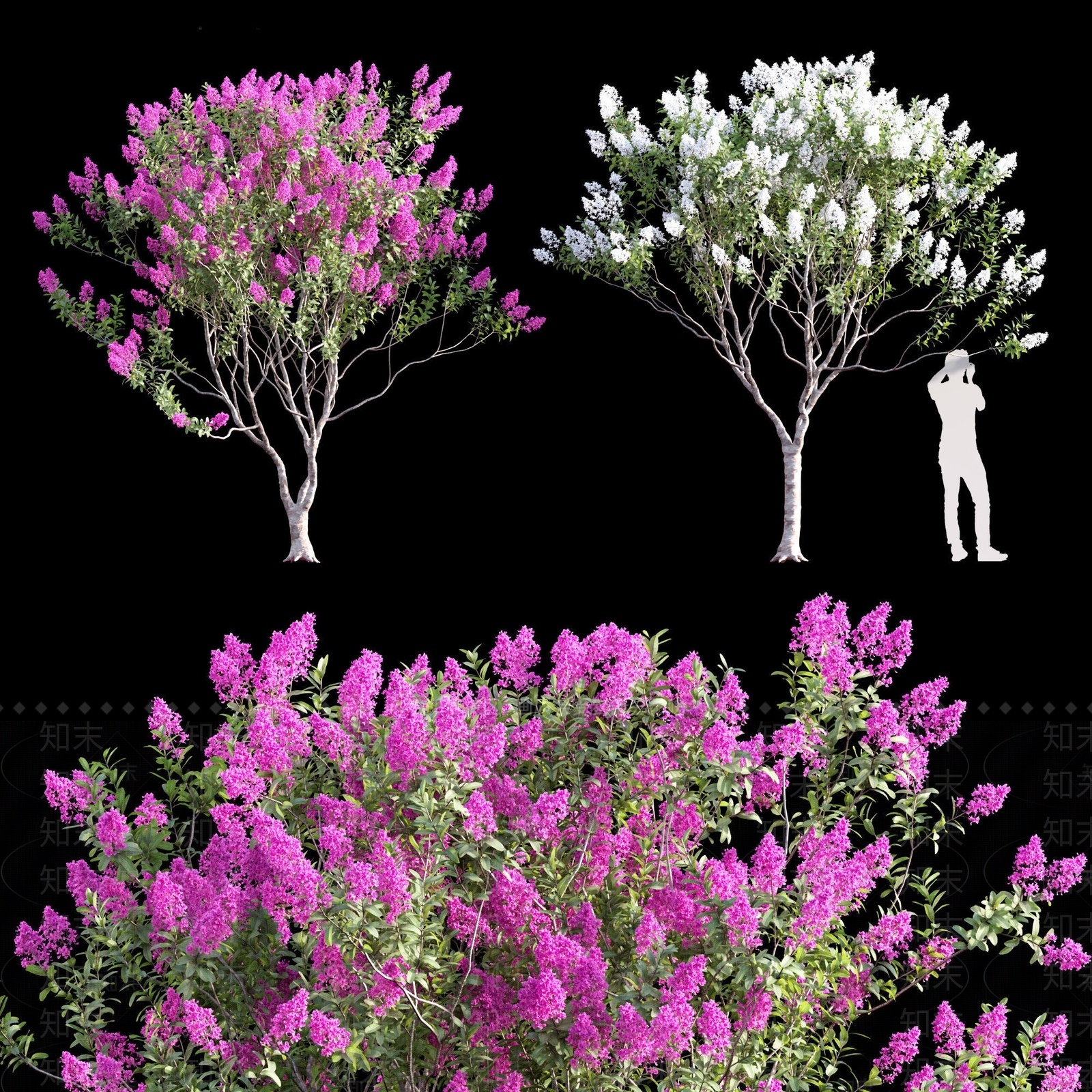 现代鲜花树3D模型下载【ID:1114117221】