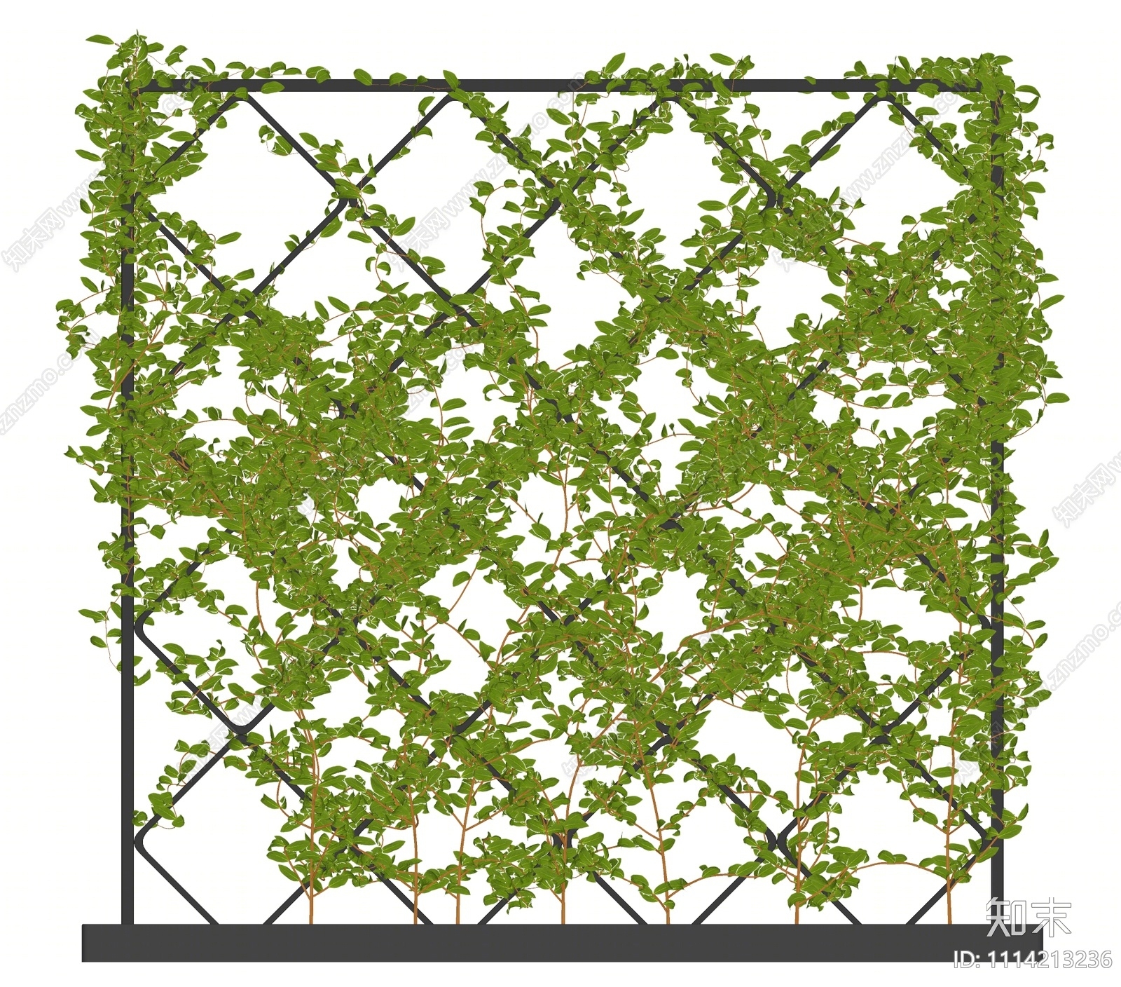 现代绿植藤蔓SU模型下载【ID:1114213236】
