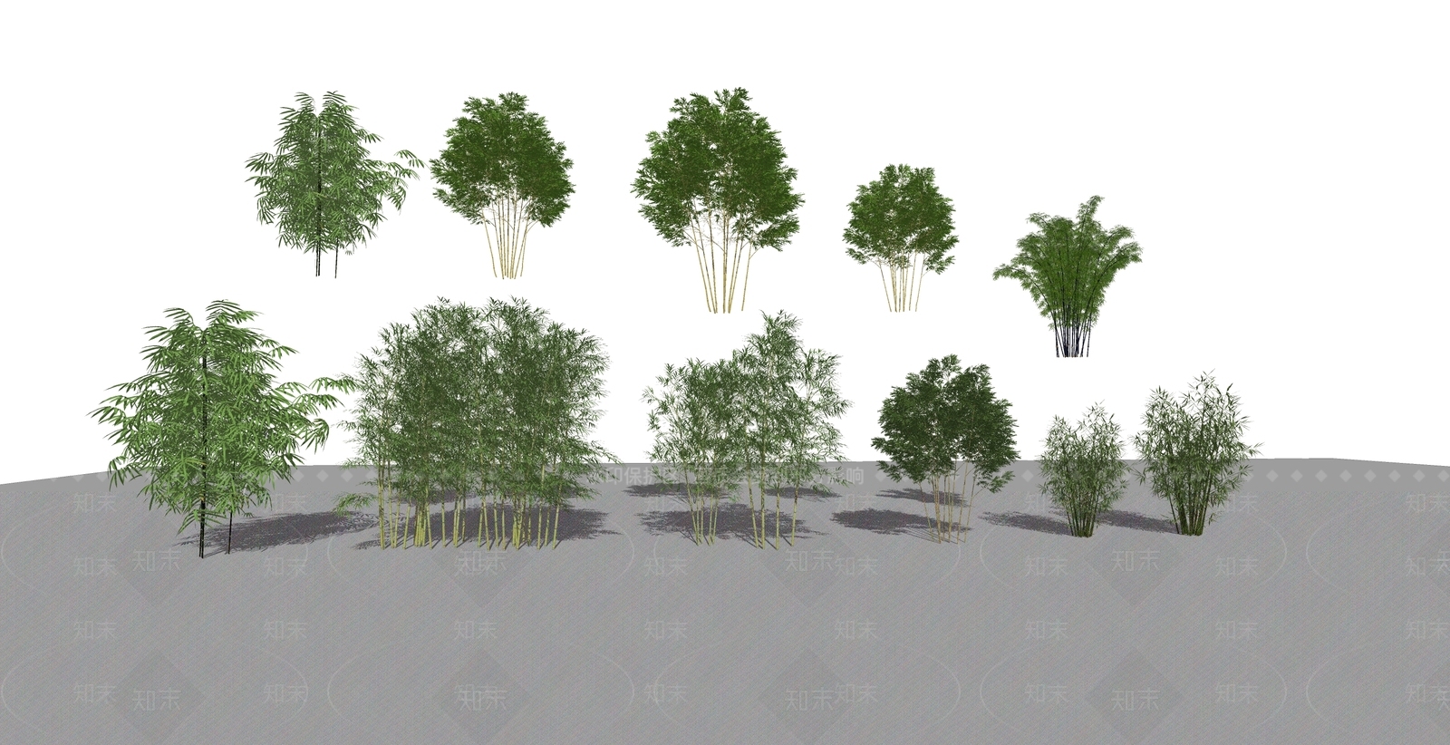 现代竹子毛竹SU模型下载【ID:1114331315】