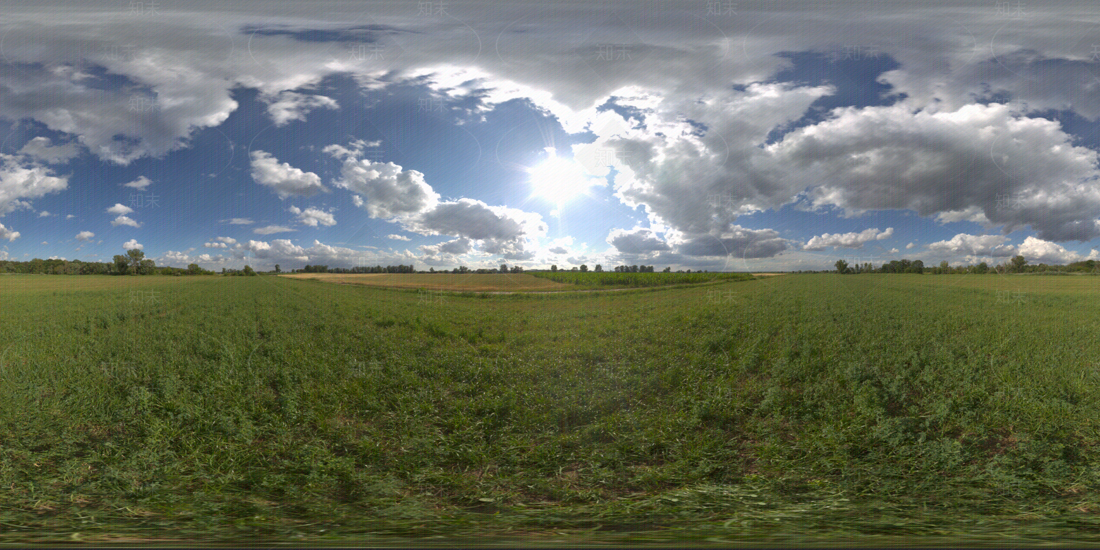 晴天户外草坪hdr贴图下载【ID:1114367922】