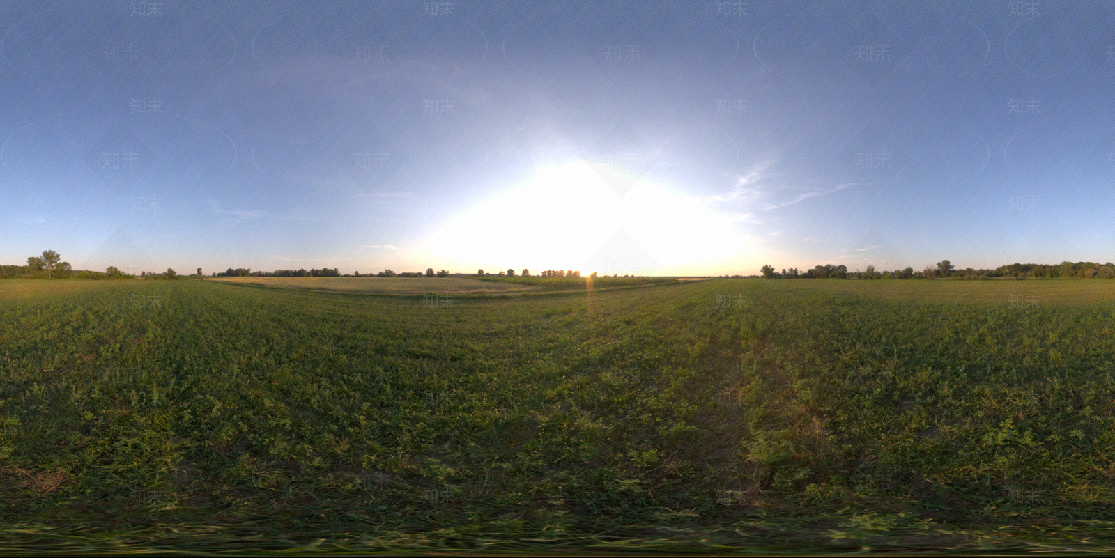 户外天空晴朗阳光hdr贴图下载【ID:1114450856】