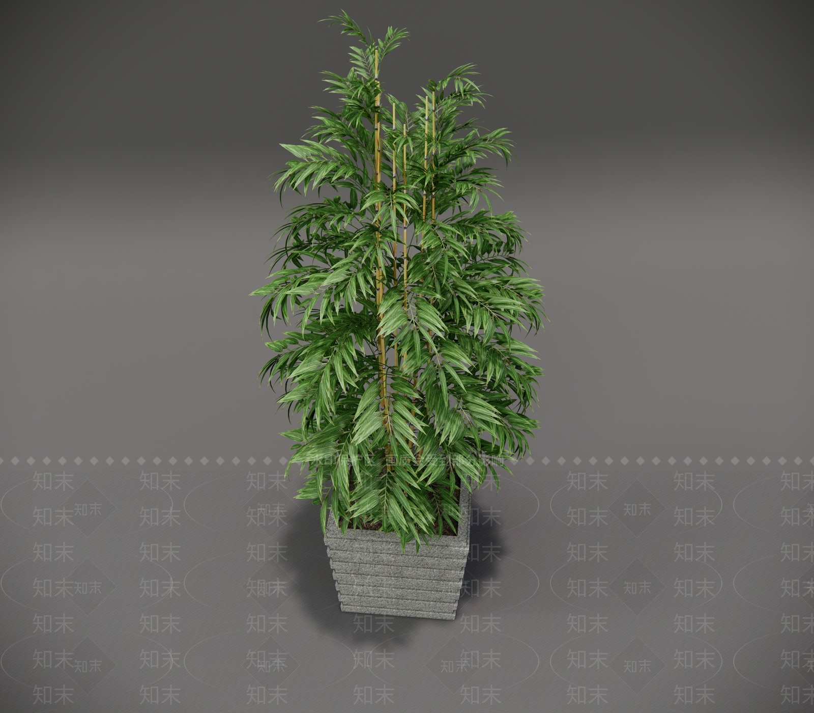 现代竹子SU模型下载【ID:1114475657】