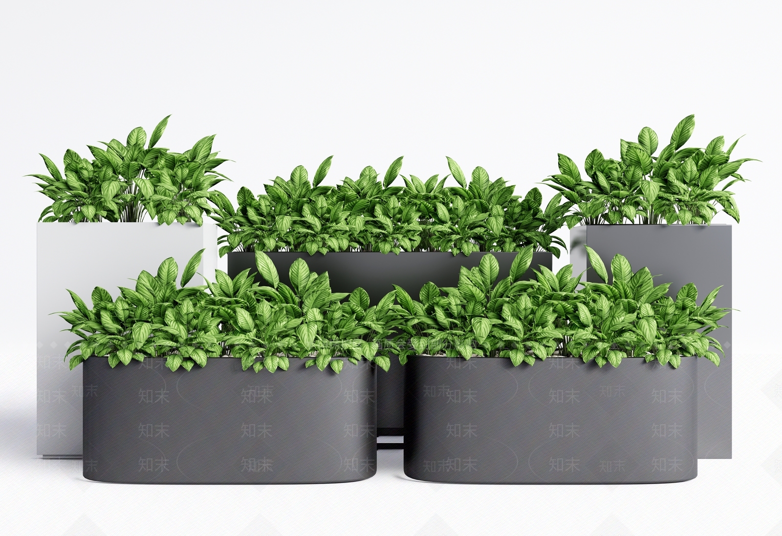 现代绿植花钵3D模型下载【ID:1114573153】