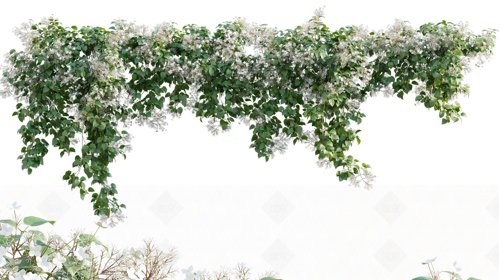 现代藤蔓植物3D模型下载【ID:1114616696】