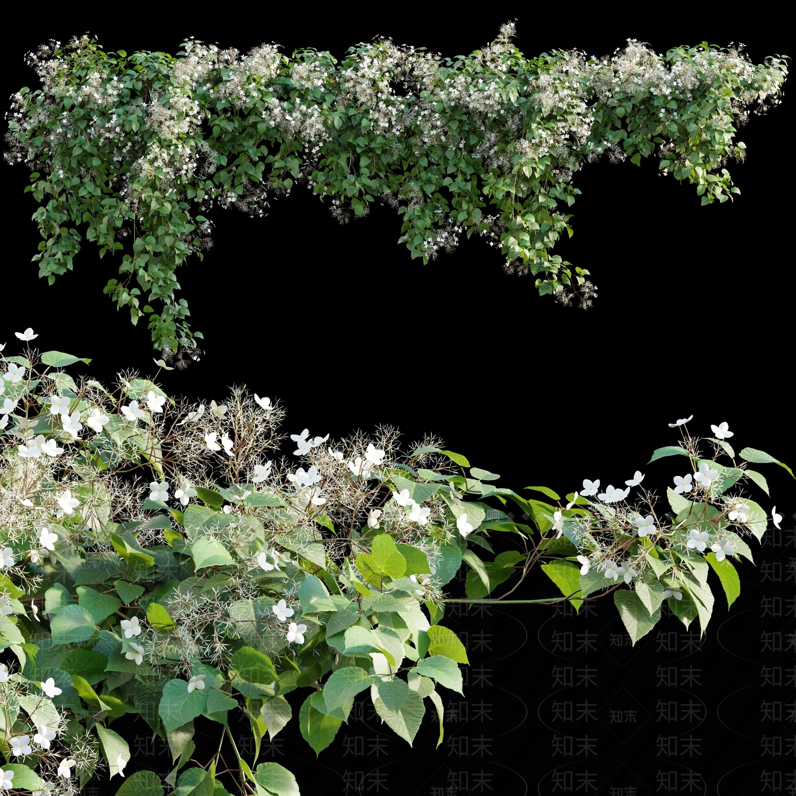 现代藤蔓植物3D模型下载【ID:1114616696】