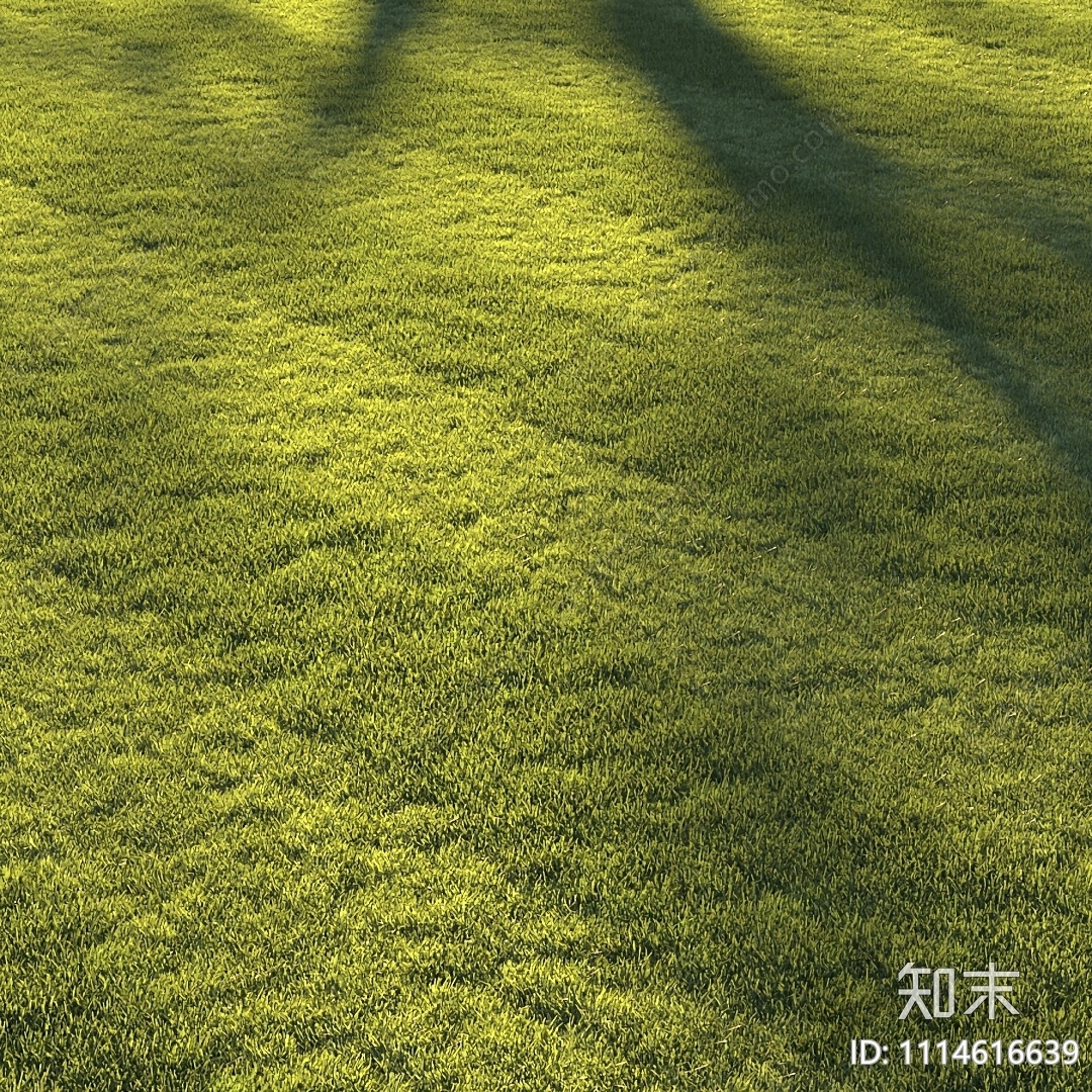 草坪3D模型下载【ID:1114616639】