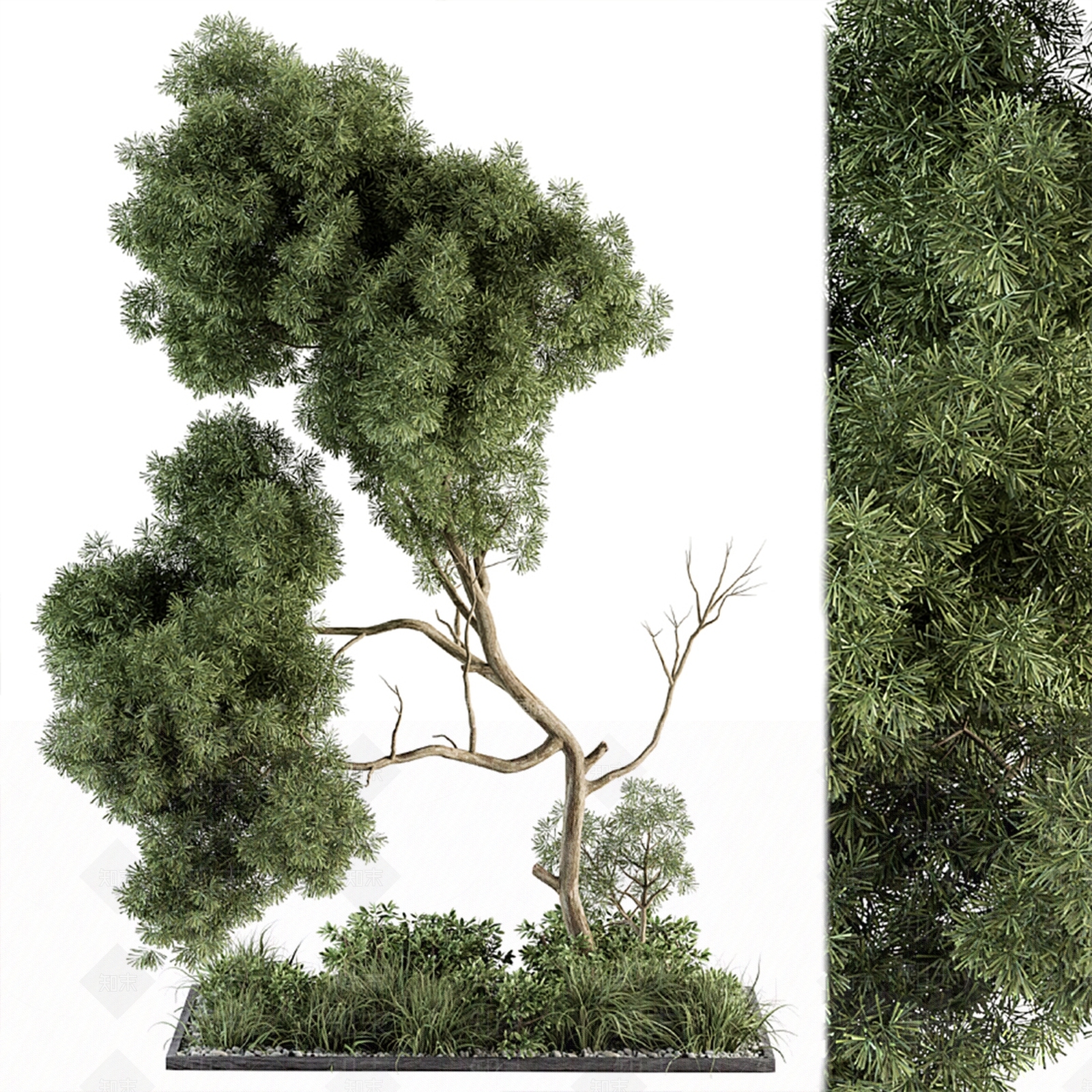 现代植物堆3D模型下载【ID:1114658519】