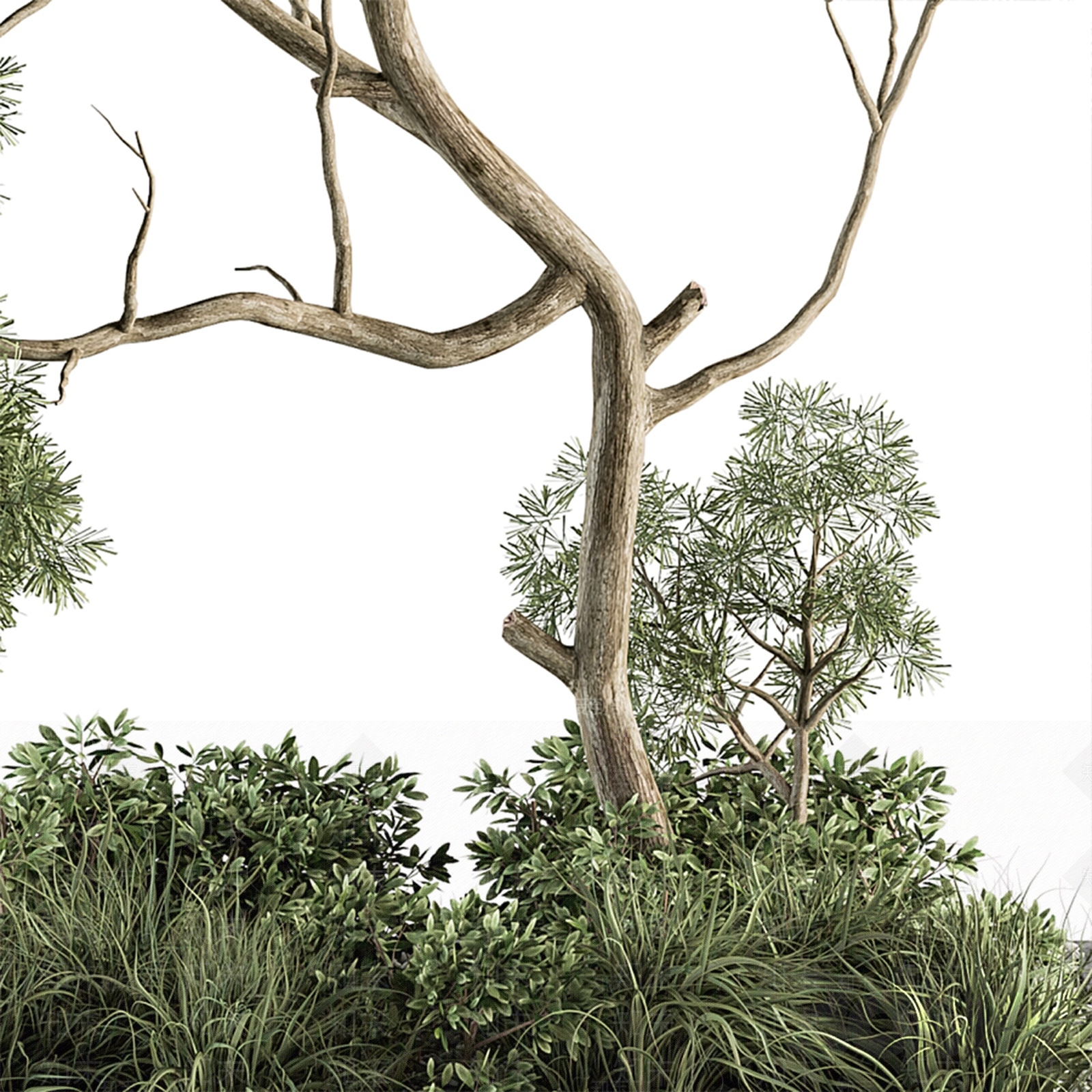 现代植物堆3D模型下载【ID:1114658519】