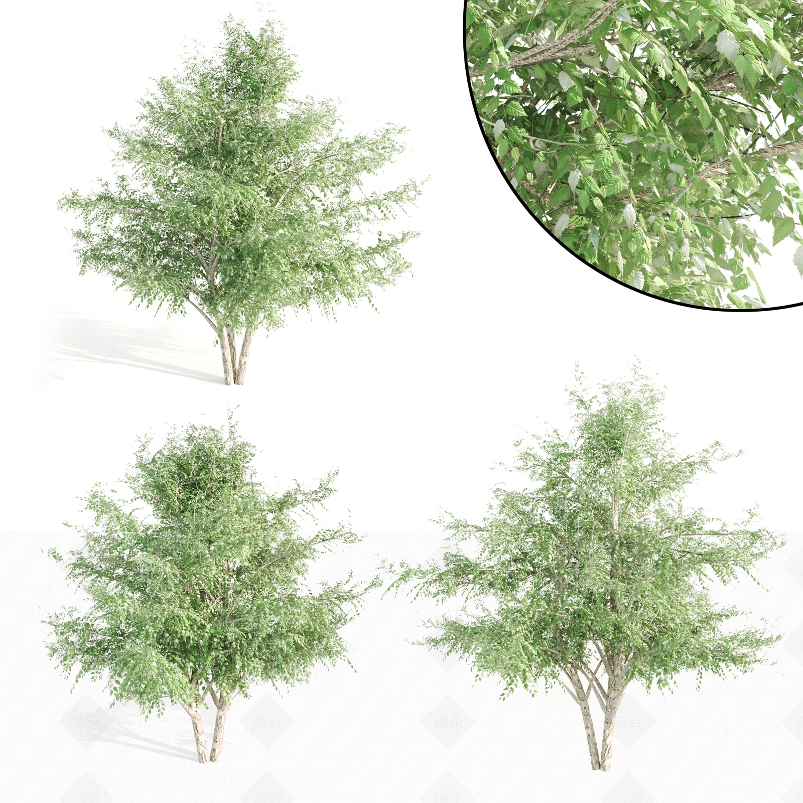 户外绿树3D模型下载【ID:1114672588】