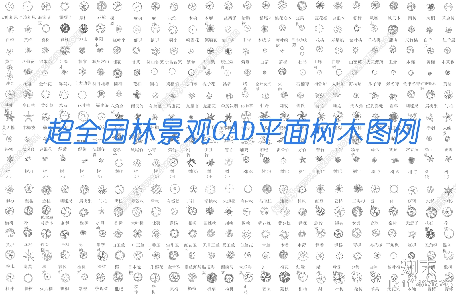 园林景观CAD树木平面图例施工图下载【ID:1114876596】