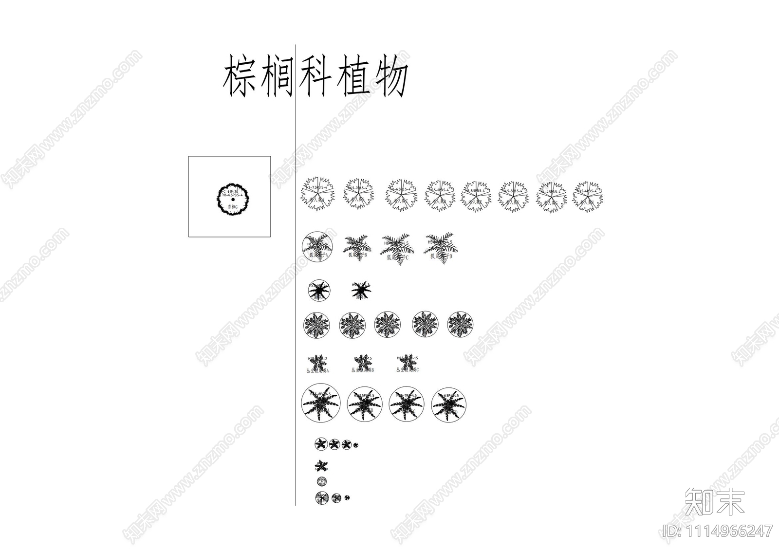 华南苗木库棕榈落叶施工图图块施工图下载【ID:1114966247】