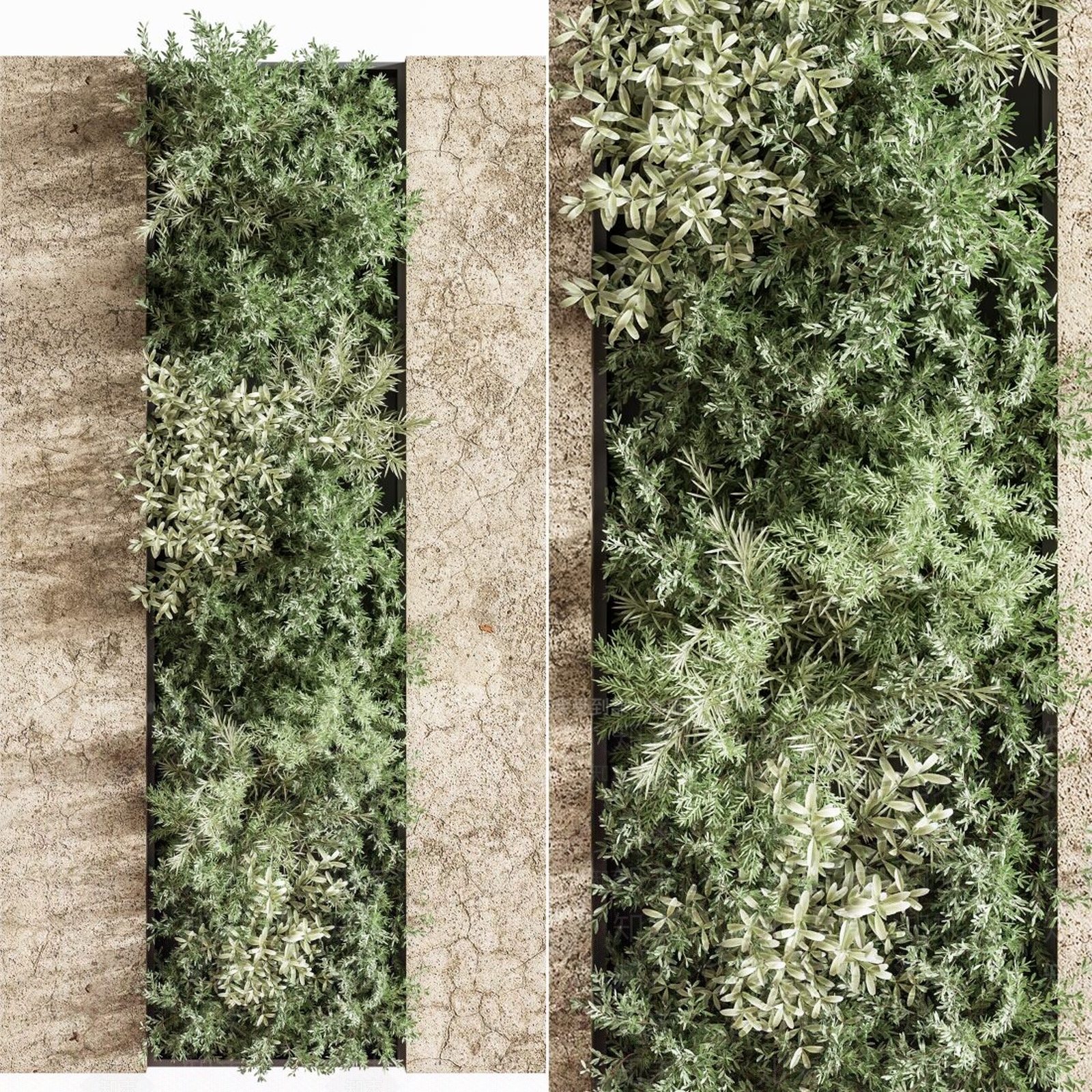 现代绿植墙3D模型下载【ID:1115458366】