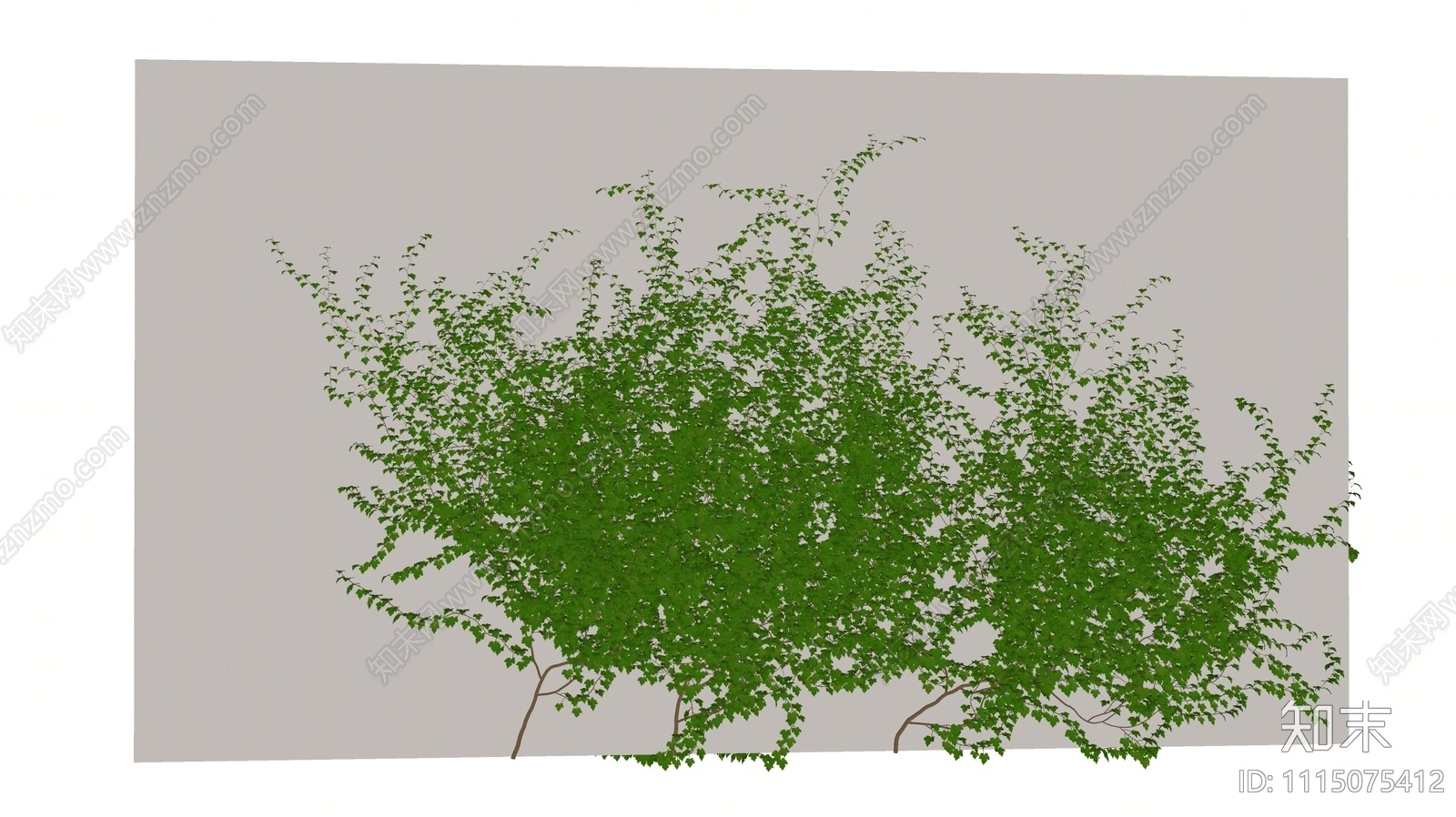 现代藤蔓SU模型下载【ID:1115075412】