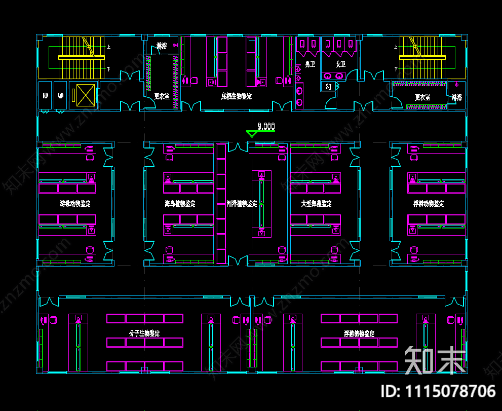 生物化学实验室施工图下载【ID:1115078706】