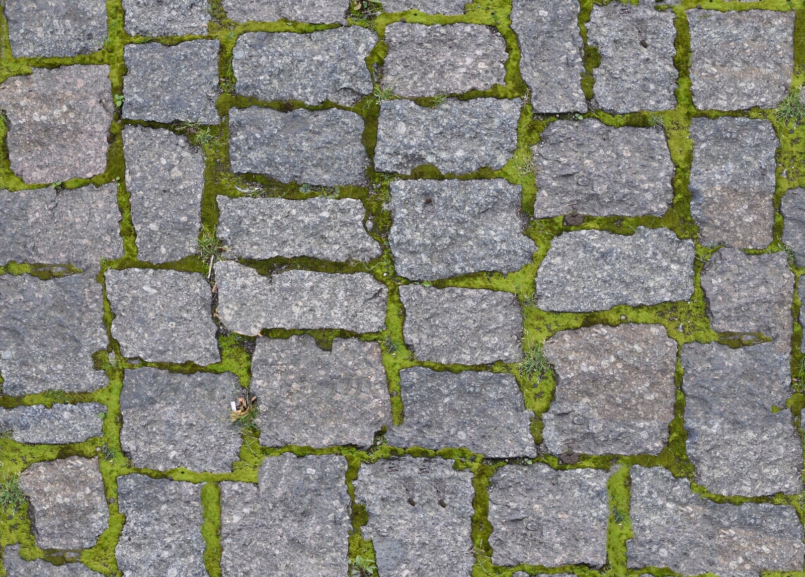 长草贴图下载【ID:1115226389】