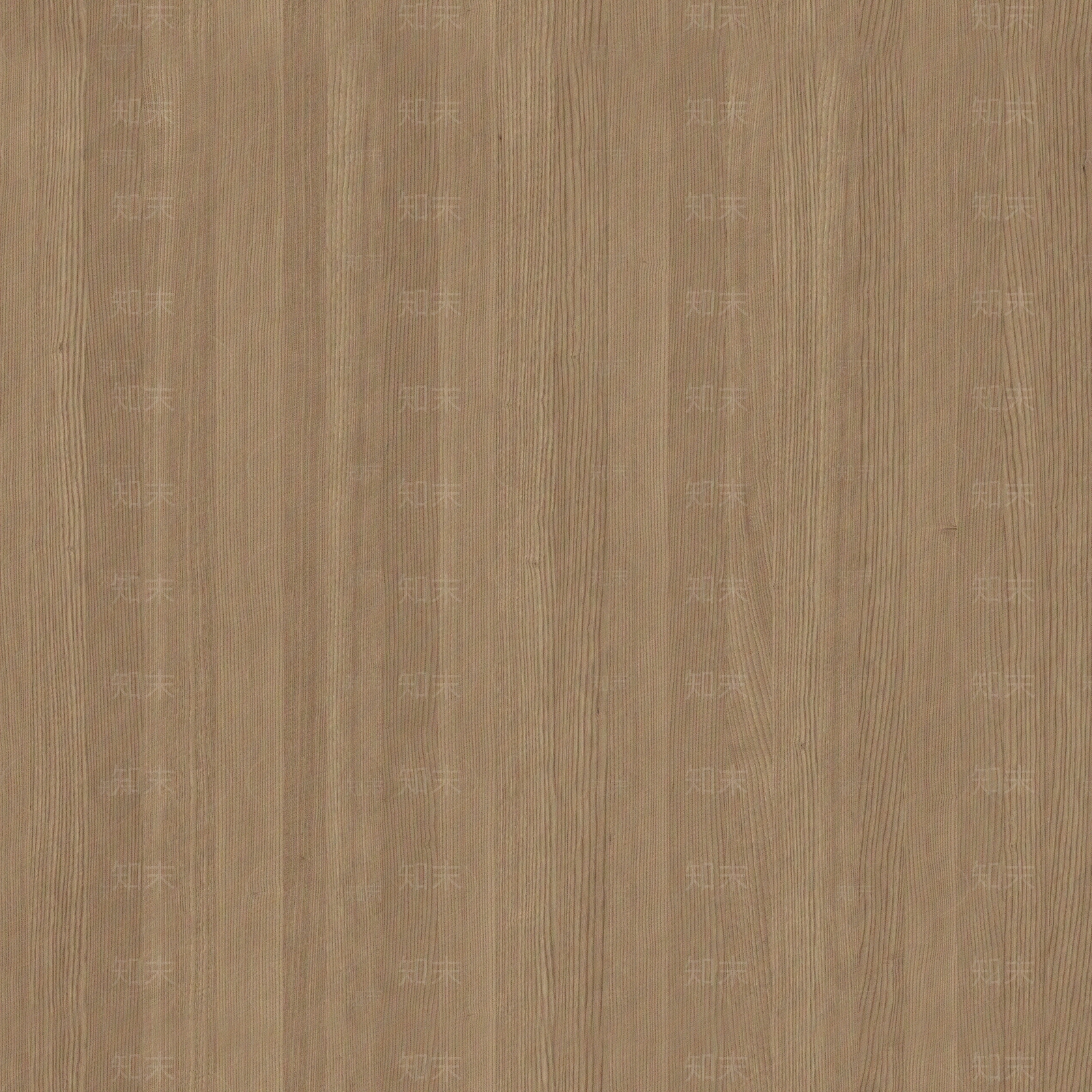 浅色橡木木纹贴图下载【ID:1115255016】