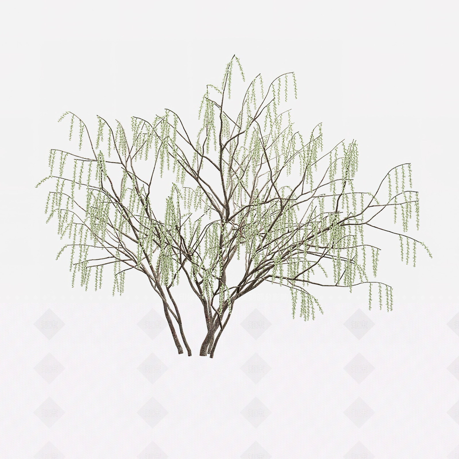 柳树3D模型下载【ID:1115281049】