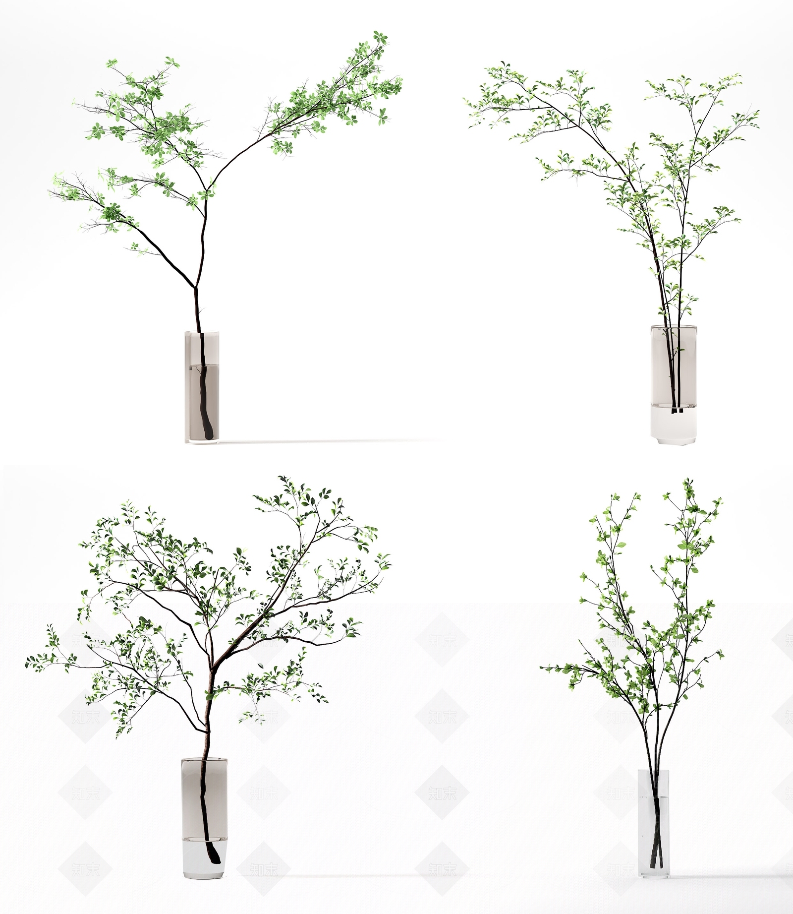 现代水生植物3D模型下载【ID:1115457904】