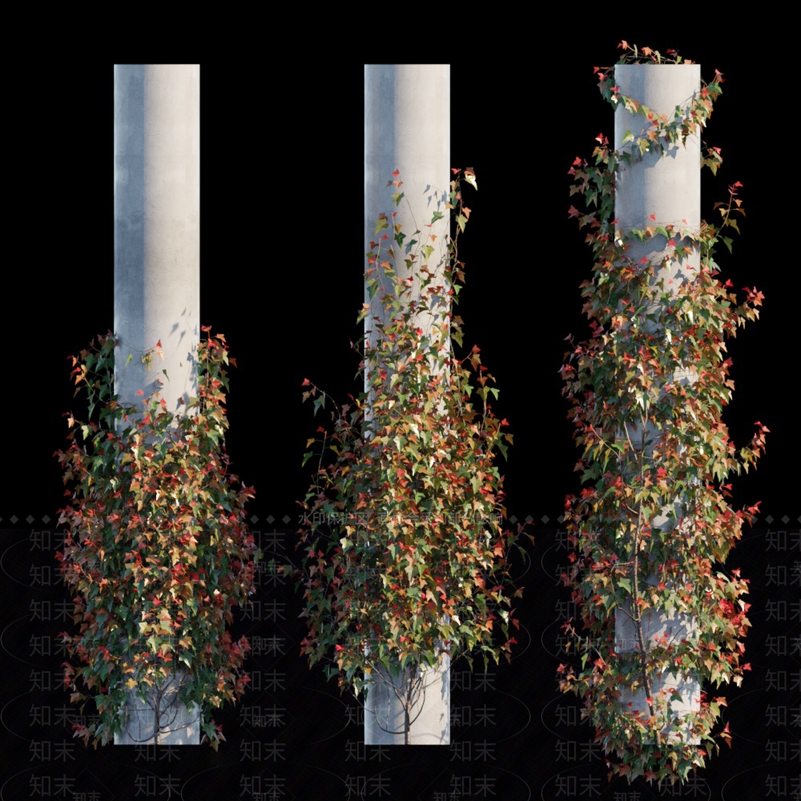爬山虎3D模型下载【ID:1115552943】