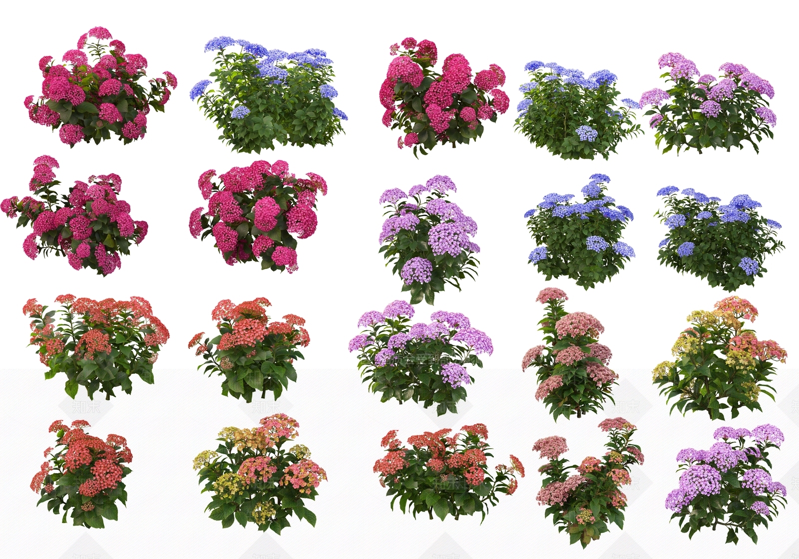 现代花草SU模型草图
