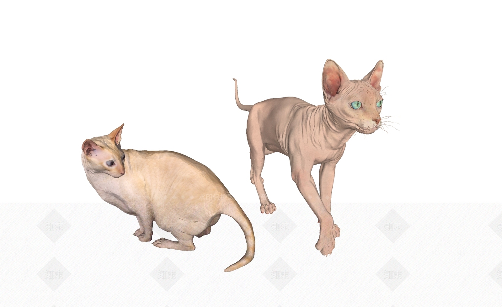 现代猫SU模型下载【ID:1115663923】